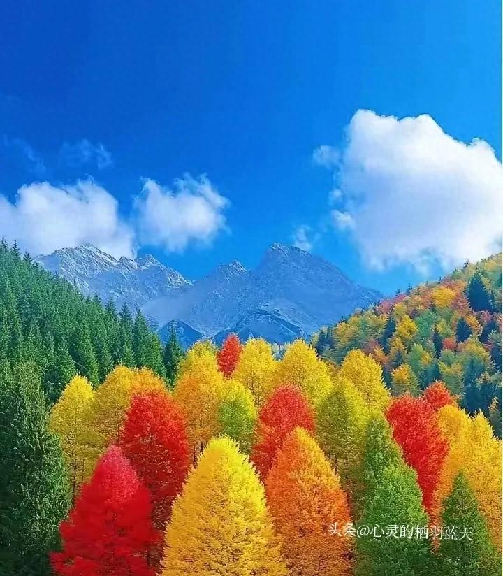 人过55岁，如果你还有八九十岁的父母，一定要守住这五条规矩！