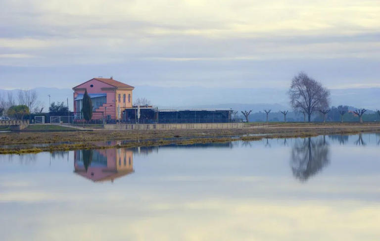 成年人痛苦的三大根源